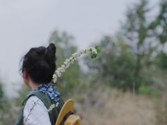 -长虫山生态公园风景林