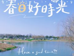 -贡湖湾湿地公园