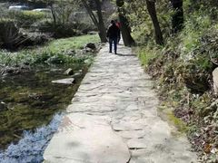 -木兰云雾山