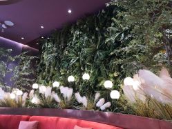 -花隐·美芙炫海菲秀皮肤管理中心