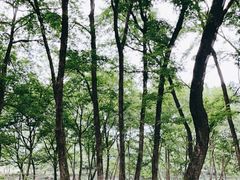 -西溪南古村落