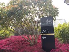 景点-蠡湖大桥公园