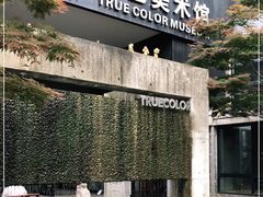 -苏州本色美术馆