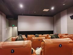 -SFC上影百联影城(八佰伴IMAX店)