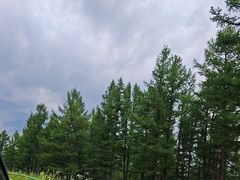 -塞罕坝国家级自然保护区