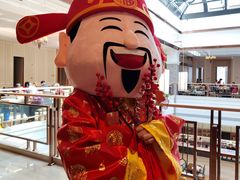 -泰康之家·申园