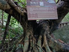 -七仙岭温泉国家森林公园