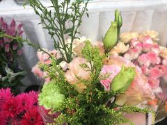 -重庆市江北嘴中央商务区中央公园