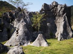 -千岛湖石林