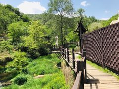 -Local泰莲庭(虹鳟鱼店)