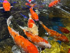 -太平洋海底世界