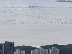 -平安金融中心云际观光层