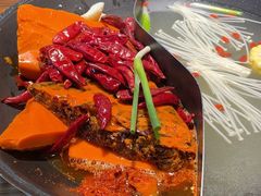 -阳阳老火锅(小南门店)