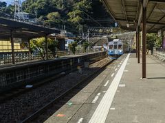 -伊豆观海列车
