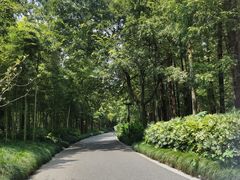 -杭州西湖柳莺里酒店·闻莺厅