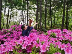 -日出青木·杭帮菜名店