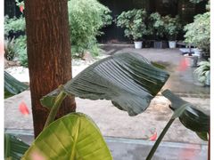 -浮何烤铺(桐梓林店)