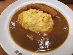 -COCO壱番屋(北京平安国际金融中心店)