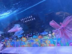 -常州海昌海洋探索馆