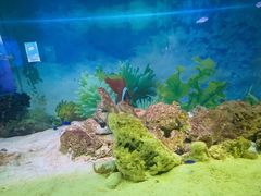 -小八仙·宴(三峡茶庄店)