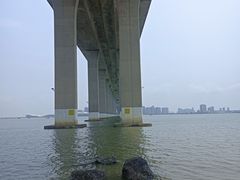 -中澳友谊花园
