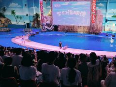 -华夏文旅海洋公园