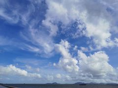 -芒洲湿地公园