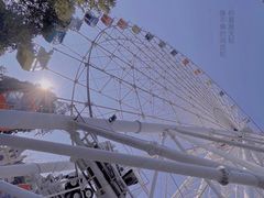 -温州乐园