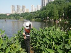 -重庆彩云湖湿地公园