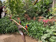 -南宫五洲植物乐园