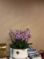 -Dr.林醫生产后修复·配方产康(南京江宁万达店)