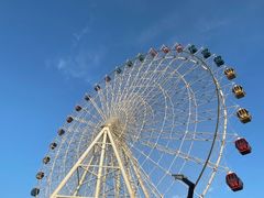 -琴岛之星摩天轮
