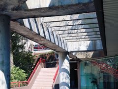-香港大学