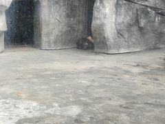 -南昌动物园
