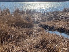 -长春市南湖公园