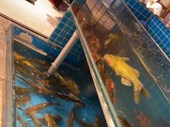 -星伦多自助料理(花山金鹰店)