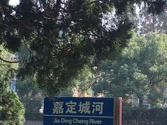 -嘉定紫藤园