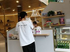 -飞行喵MR PILOT|猫舍·猫咖(静安大融城店)