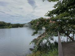-济州森林小火车生态公园