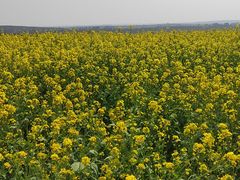 -黄河小浪底水利枢纽风景区