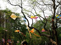 -人民公园(罗湖区)