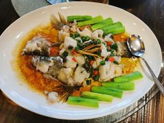 -猪肉婆私房菜(容桂总店)