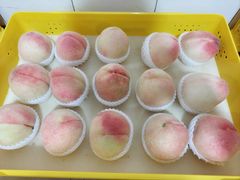 -老袁家蜜桃农场·阳山水蜜桃