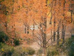 -国家植物园