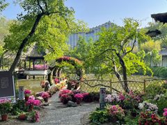 -上海醉白池公园