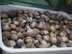 -班赞海鲜市场