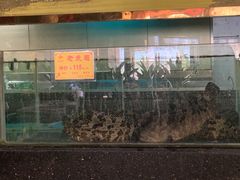 -益健名厨海鲜城(夏湾店)