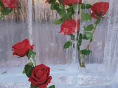 -万达广场(龙湖店)