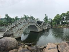 -上海鲜花港