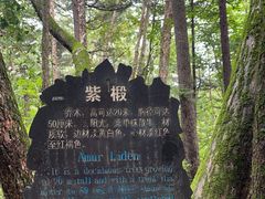 -五营国家森林公园